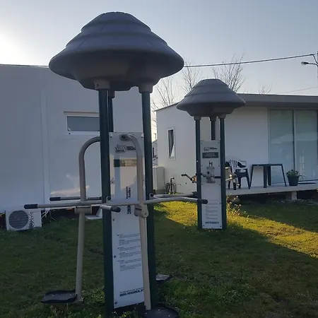 Ah Pinhal Do Rei Martinganca