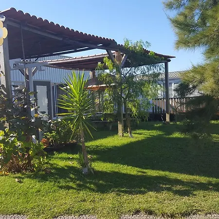Ah Pinhal Do Rei Martinganca